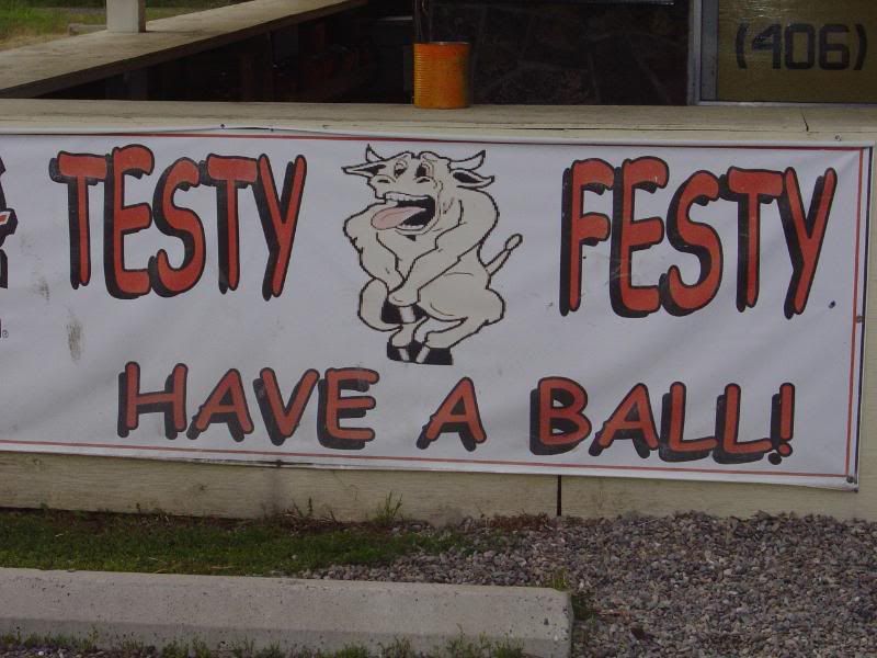 Transplanted Tennessean in Montana The Testy Festy